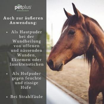 PetPlus Zeolith für Pferde, 750 g