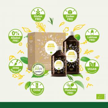 Preview: Vita Biosa Ingwer + Vitamin C 500ml, bio