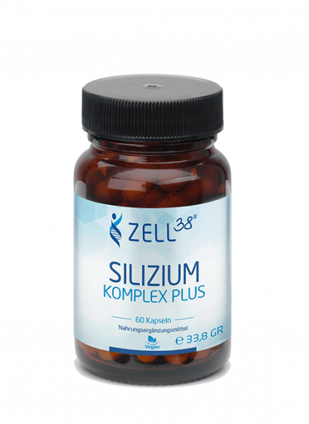 Pure-Curcuma-90-Kapseln-Activwell-GmbH-Langrickenbach