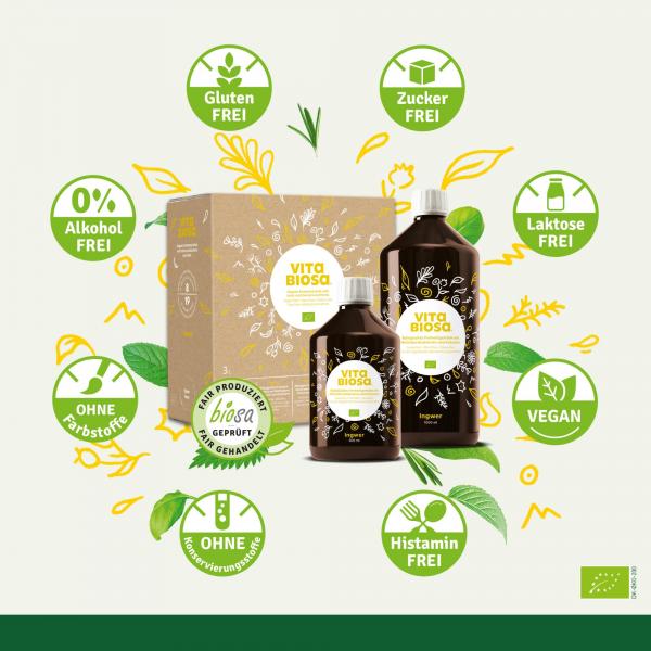 Vita Biosa Ingwer + Vitamin C 500ml, bio